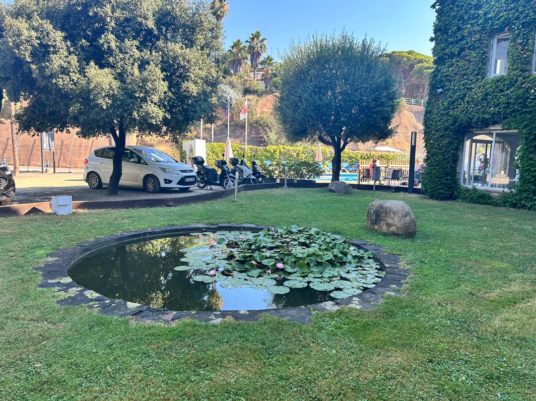 Hotel Gran Sol主图