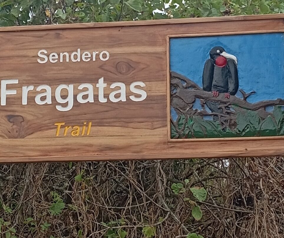 Isla de la Plata-Puerto Lopez必去景点