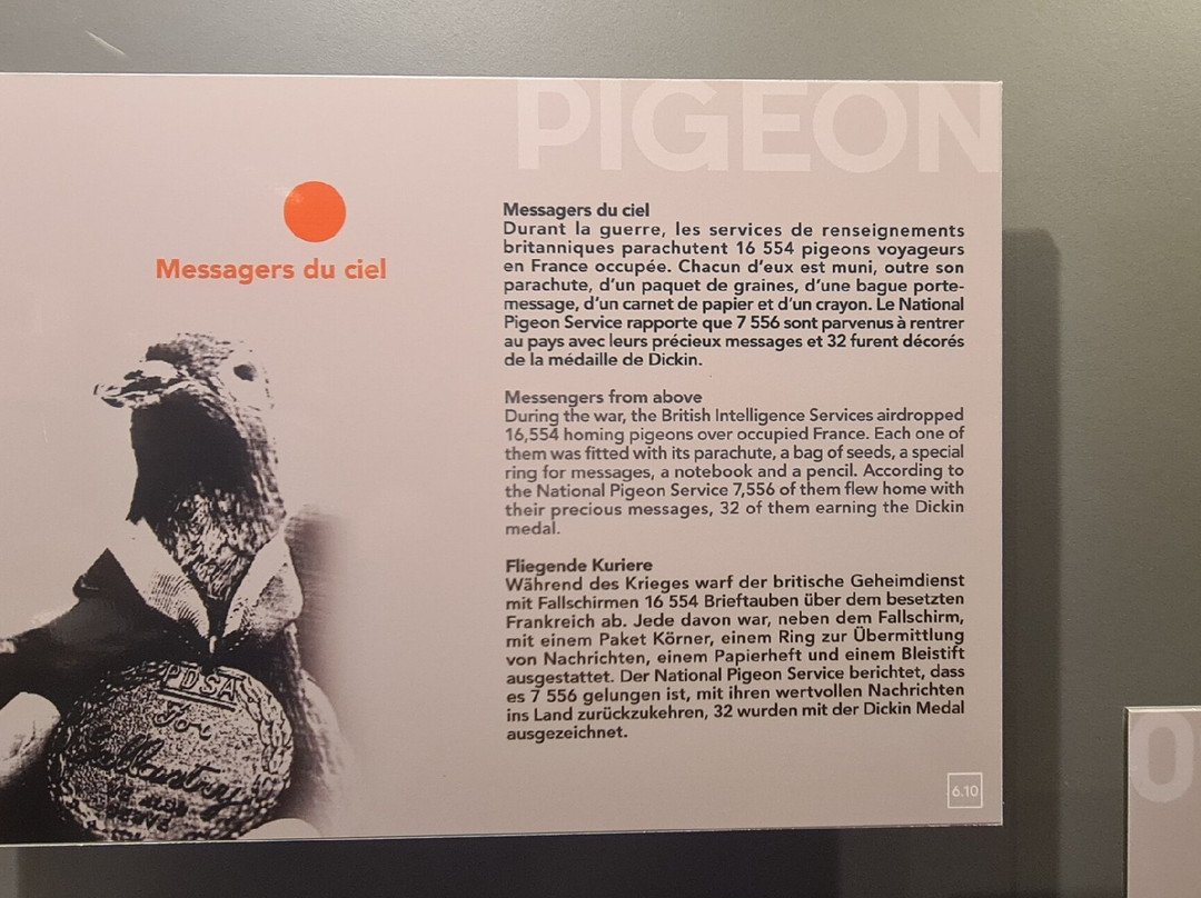 Musee Memoires 39-45-Plougonvelin必去景点