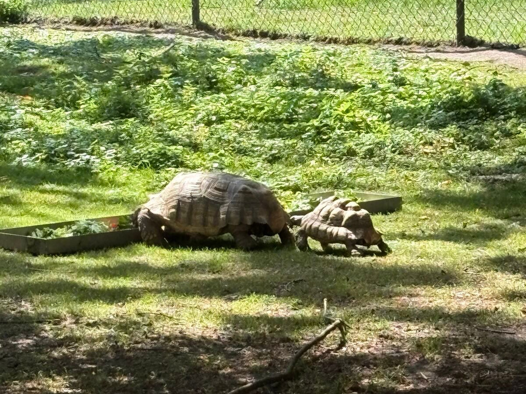 Kasteelpark Born-Born必去景点