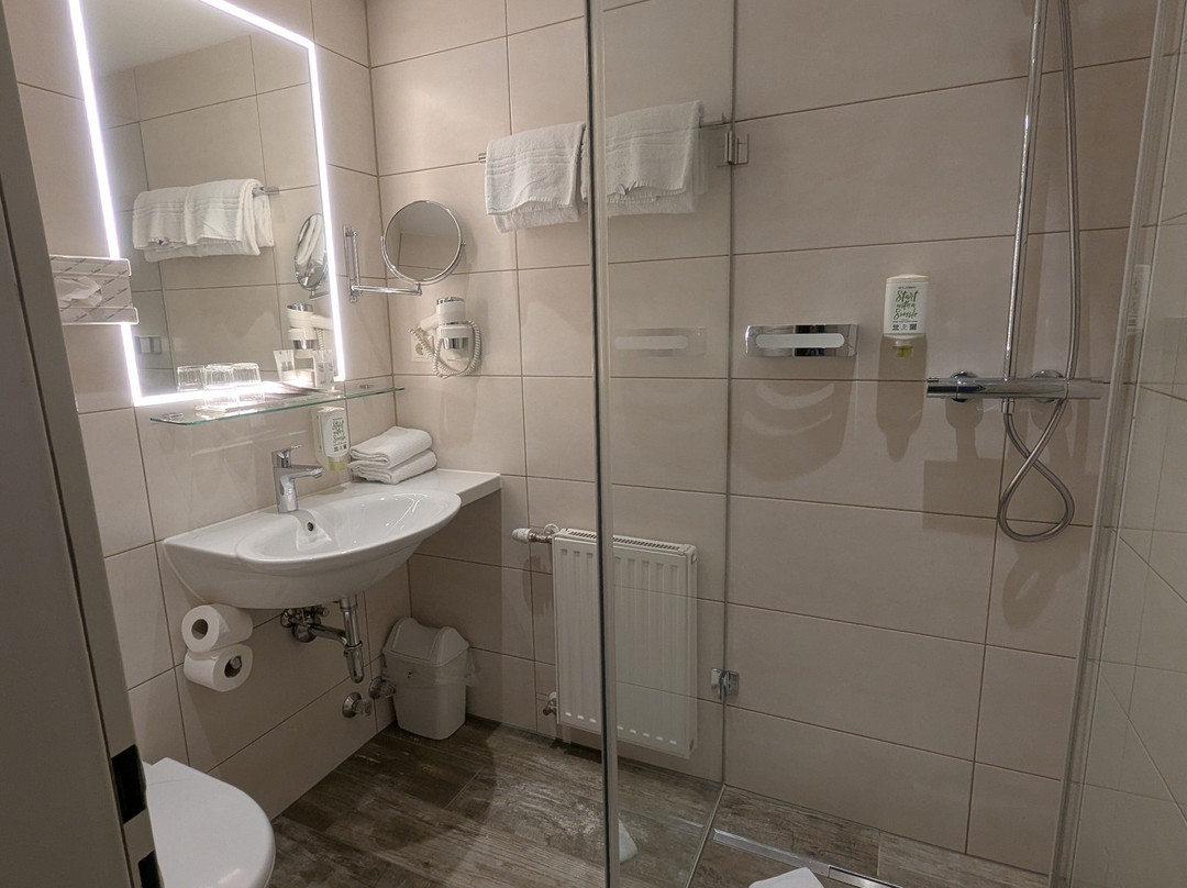 贝斯特韦斯特莱比锡酒店主图