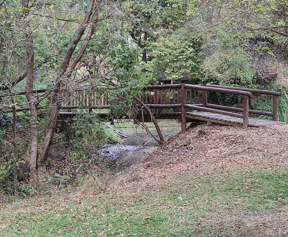 Bush Xplorers-雾观必去景点