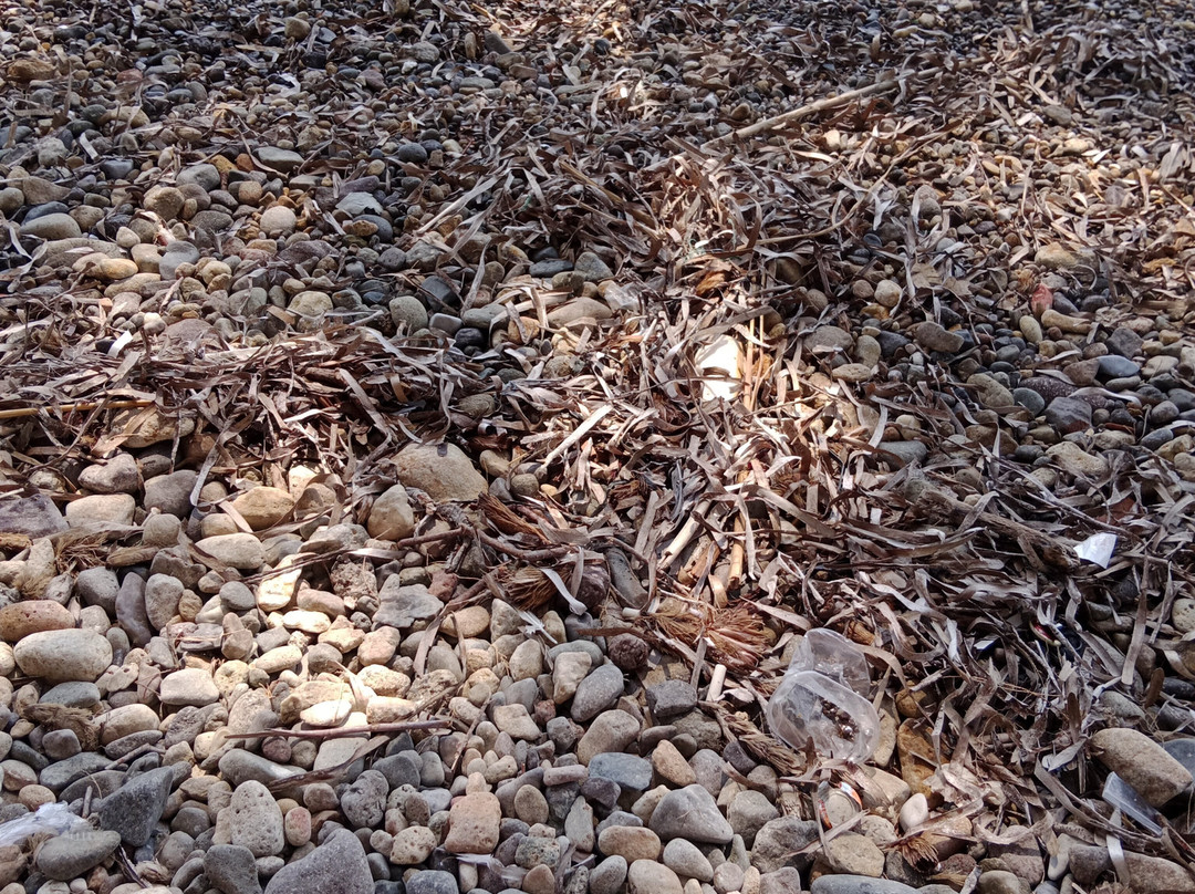 Yalikavak Halk Plaji-Yalikavak必去景点