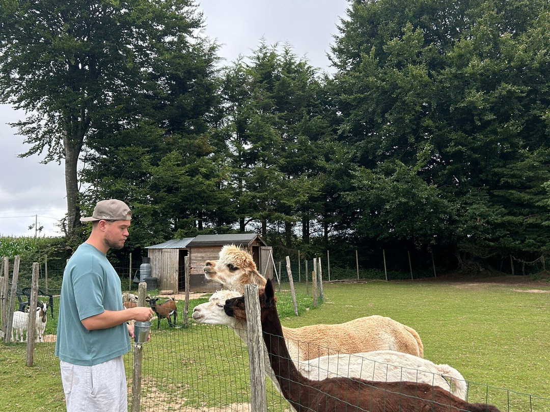 Bisou D'Alpaga-Saint-Clement-Rancoudray必去景点