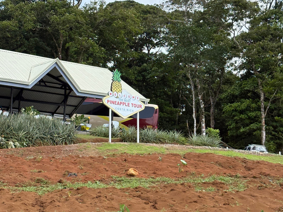 The Best Pineapple Tour Costa Rica-Rio Cuarto必去景点