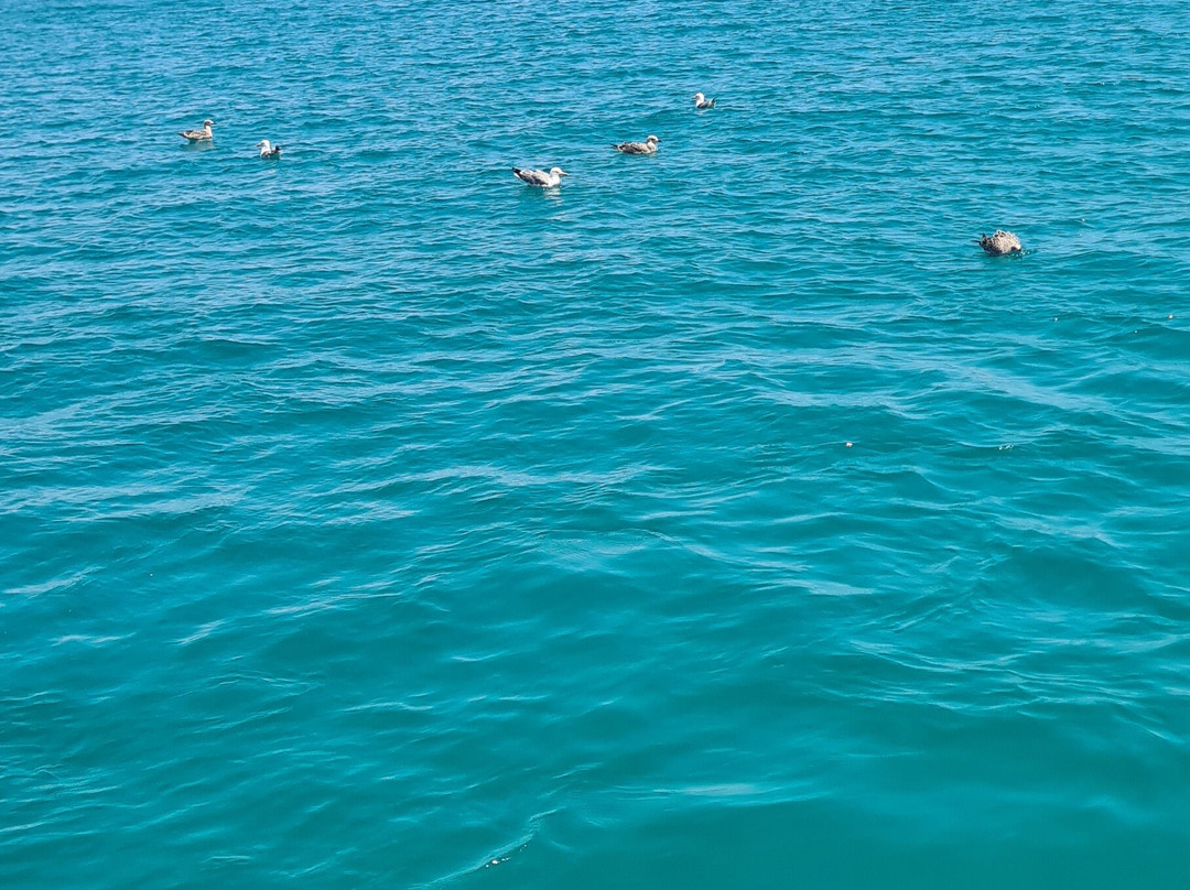 Conero in Barca-努马纳必去景点