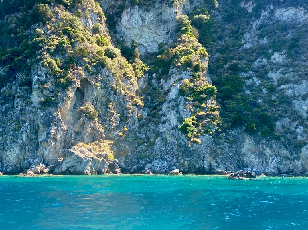 Dolphin Boat Rentals-利姆尼科利必去景点