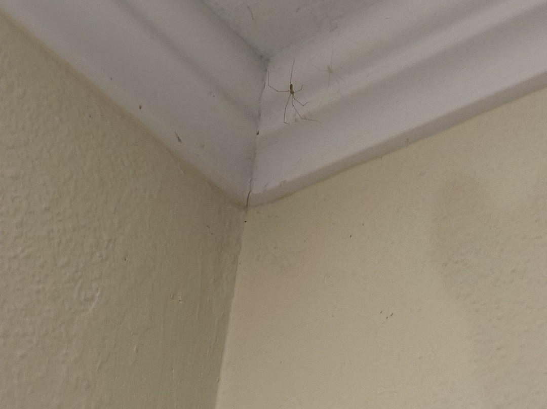 Gasthof Hotel Kirchenwirt主图