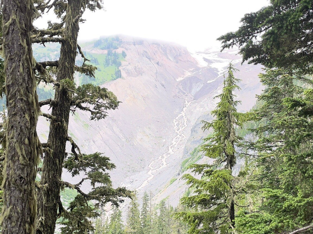 Mount Rainier National Park-阿什福德必去景点