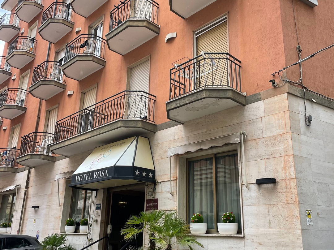 罗莎酒店主图