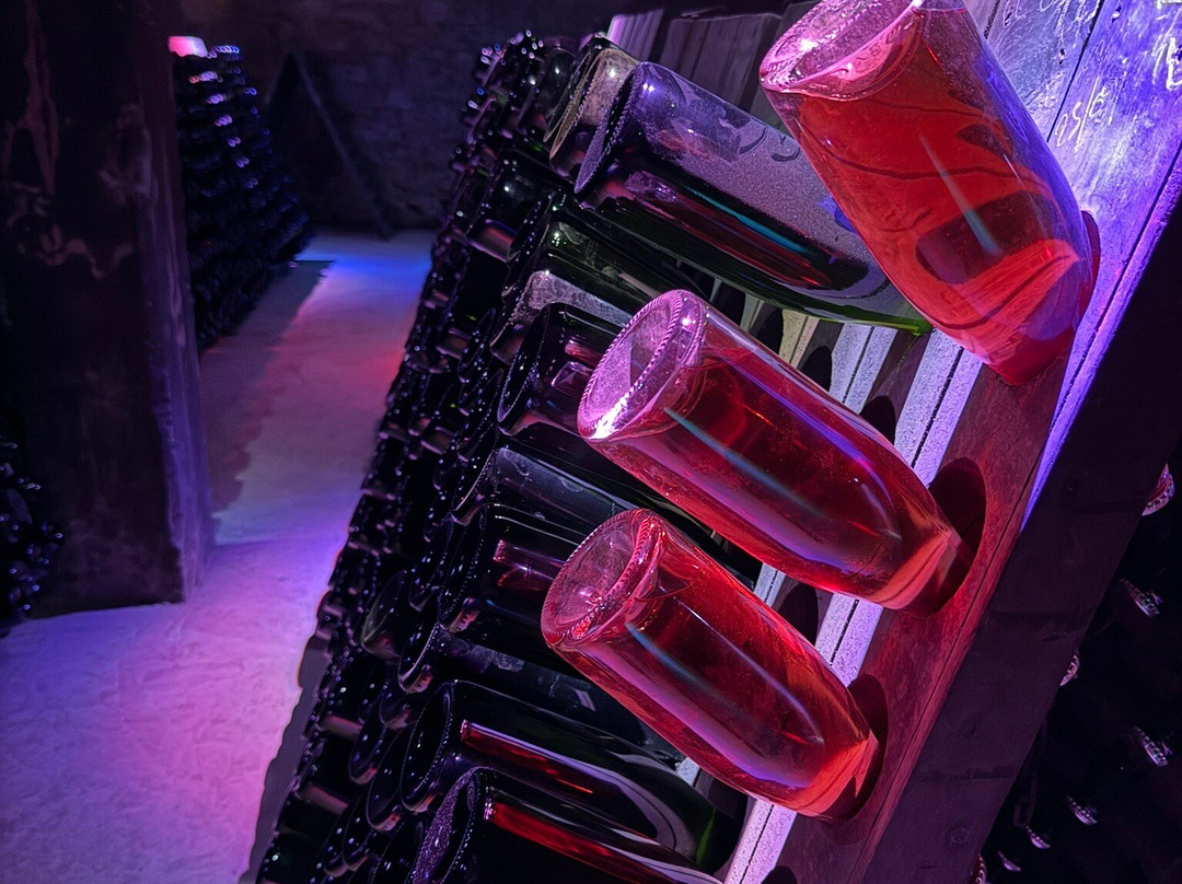 Maison Guinot-利穆必去景点