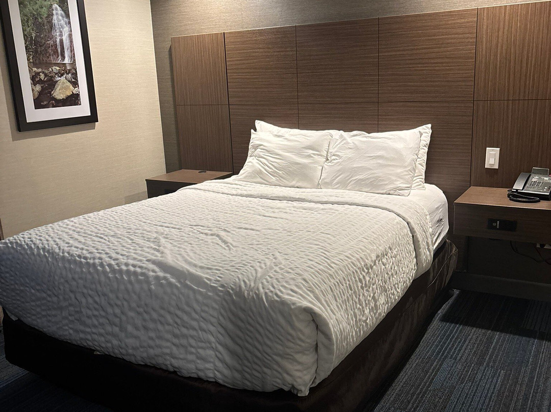 Clarion Hotel & Suites主图