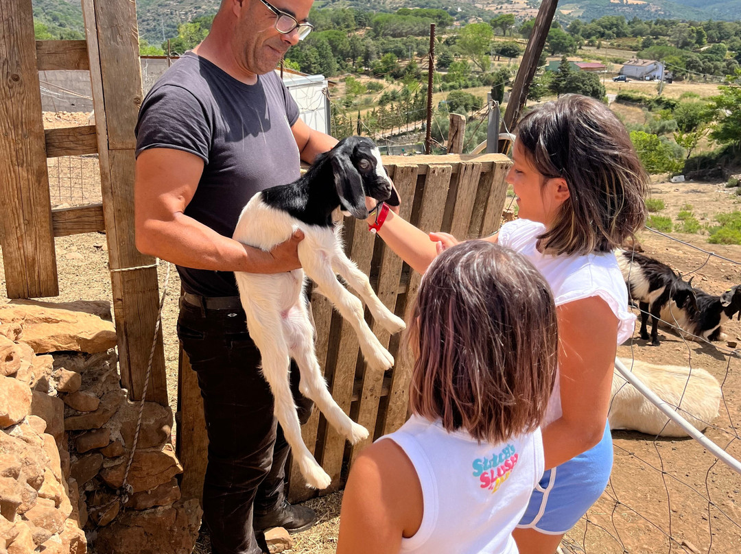 Azienda agricola Massimo Sechi-Seulo必去景点