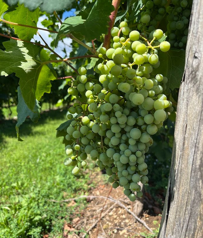 Fasol Menin-Valdobbiadene必去景点