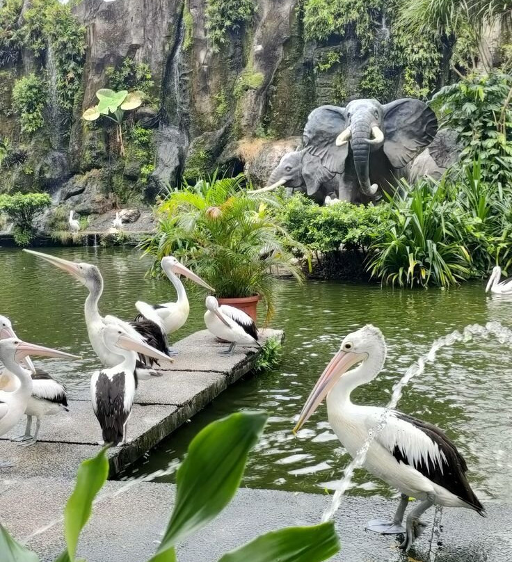拉古南动物园-雅加达必去景点