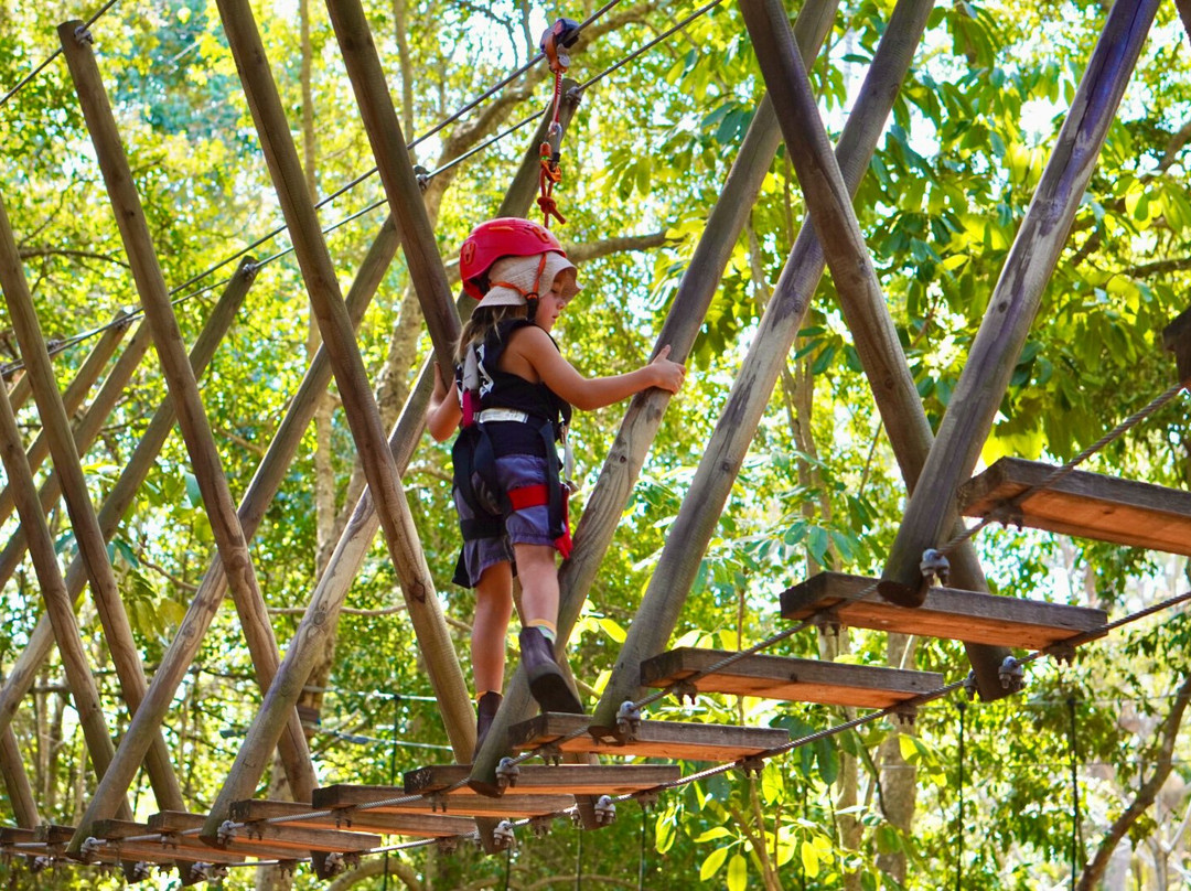 TreeTop Challenge-黄金海岸必去景点