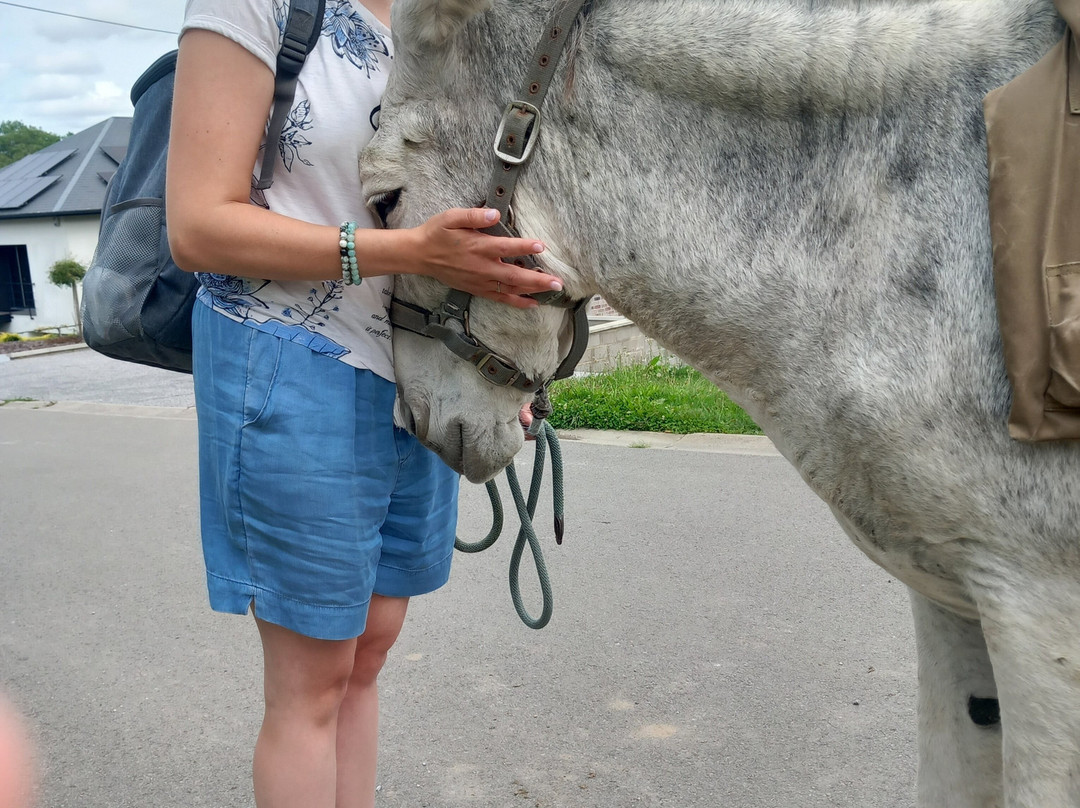 Anes et Co-Walcourt必去景点