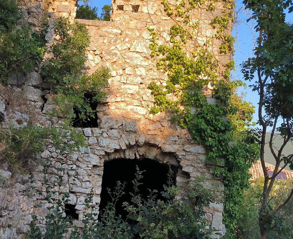 Guesthouse Runcini主图