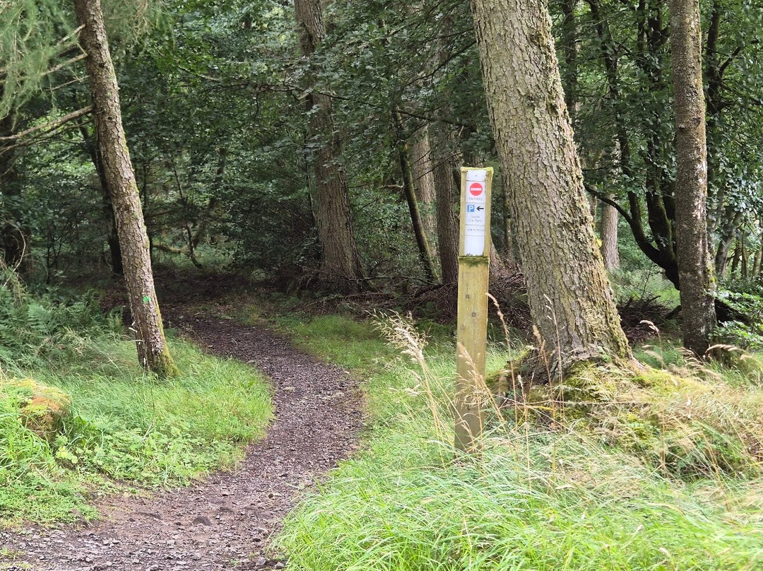 Kielder Castle Visitor Centre-Kielder必去景点