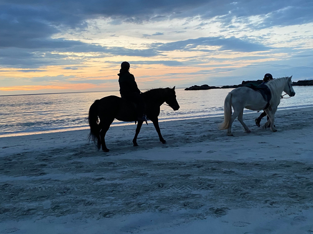 Hov Gård-Gimsoya必去景点