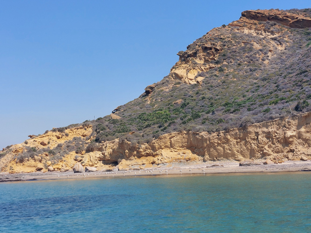 Jack Nautica Service