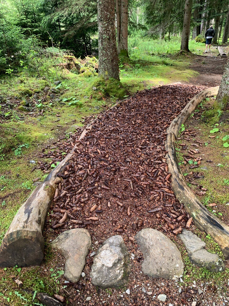 Albergo Ristorante Bar Al Fontanin-家庭/游戏区