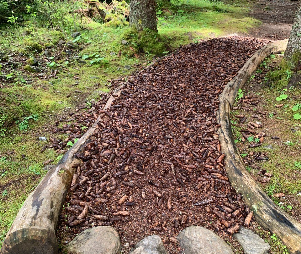 Albergo Ristorante Bar Al Fontanin主图