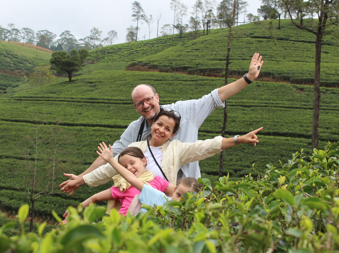 Sri Infinity Tours-贝卢瓦拉必去景点