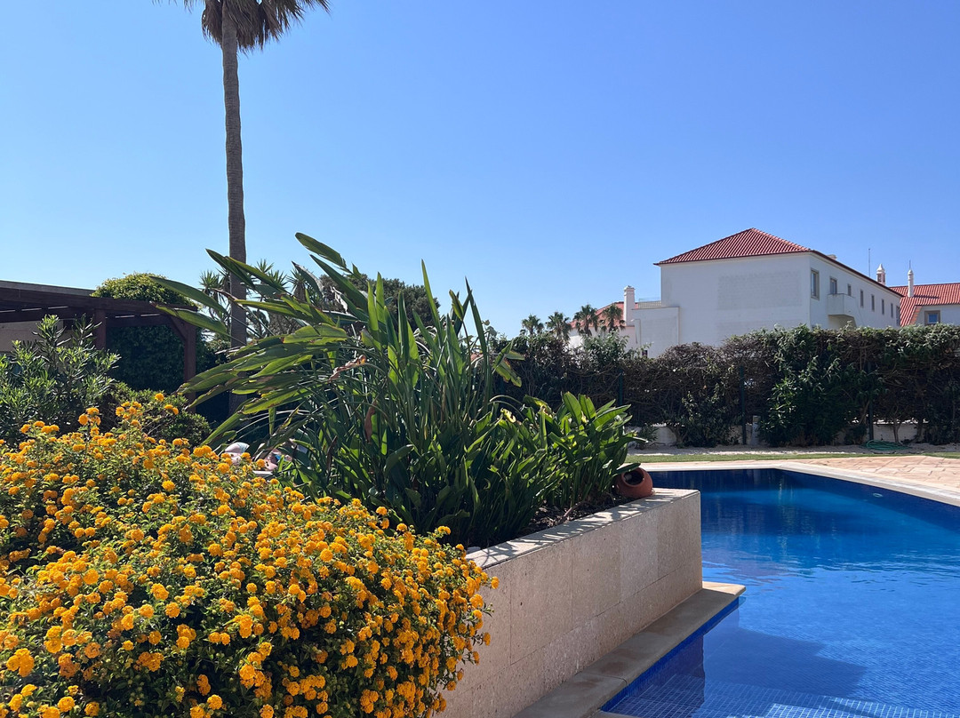 Pontalaia Apartamentos Turisticos主图