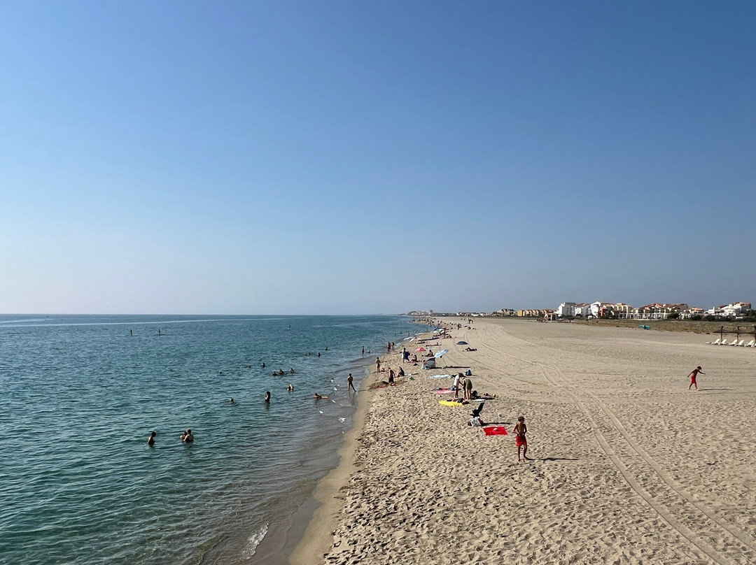 Ponton De Port Leucate