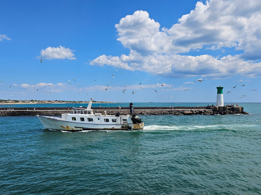 Plage de la Tamarisiere-Le Grau d'Agde必去景点