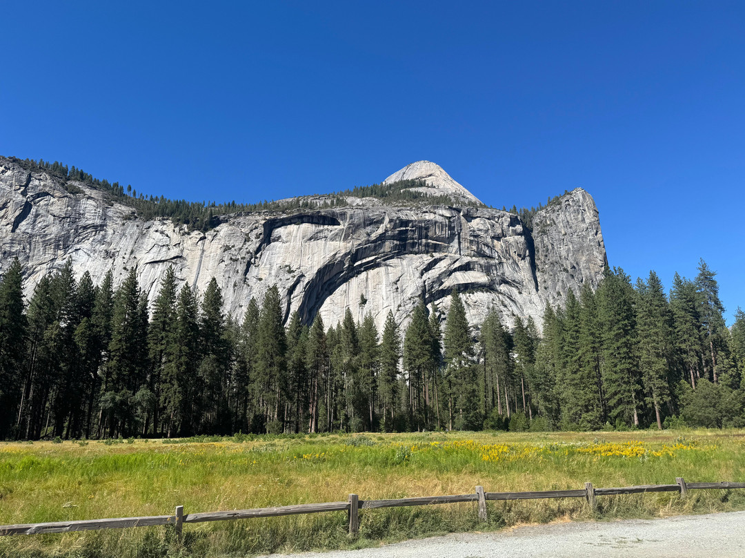 Yosemite Guide Service-格罗夫兰必去景点