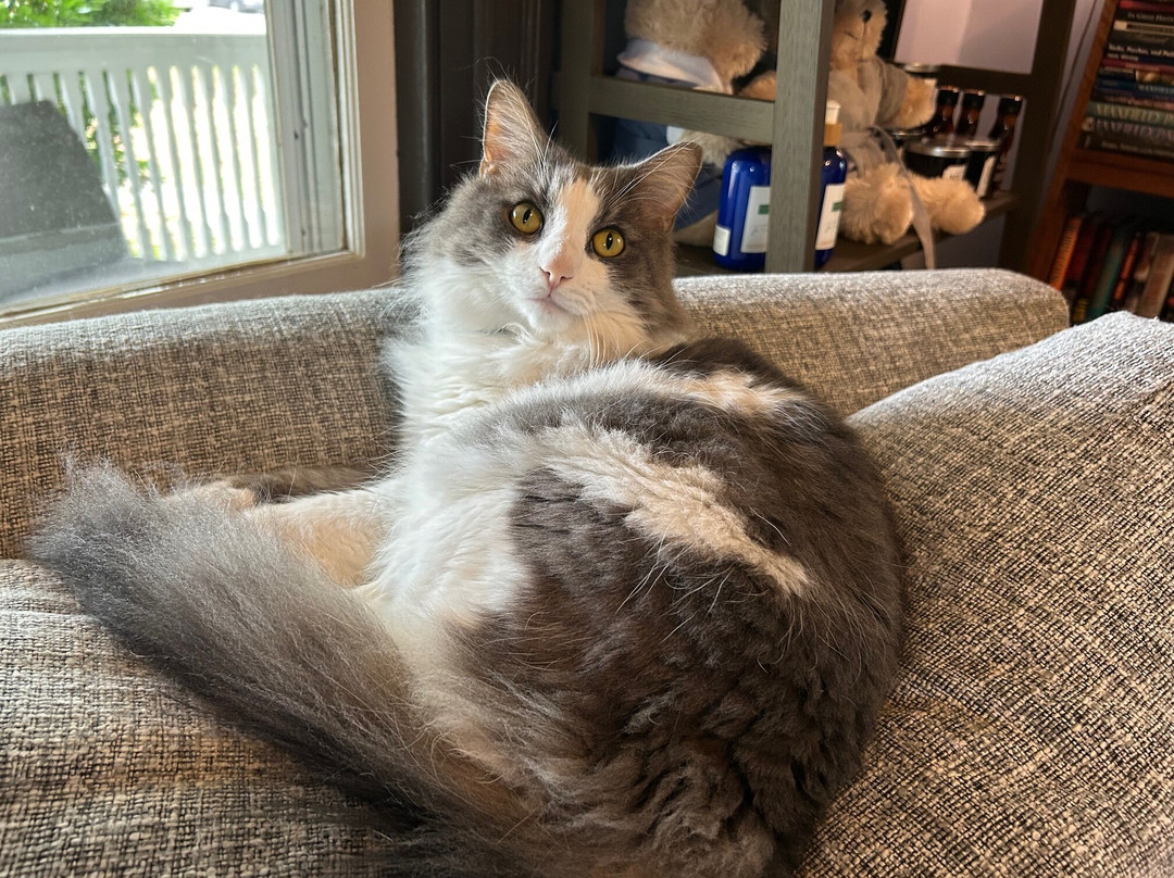 Fig Street Inn主图