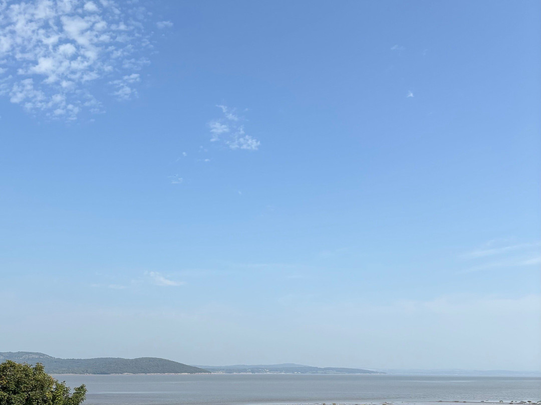 The Commodore Inn主图