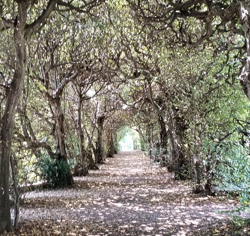 Villa e Collezione Panza-瓦雷泽必去景点