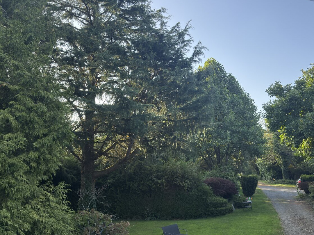 Arts in the Garden主图