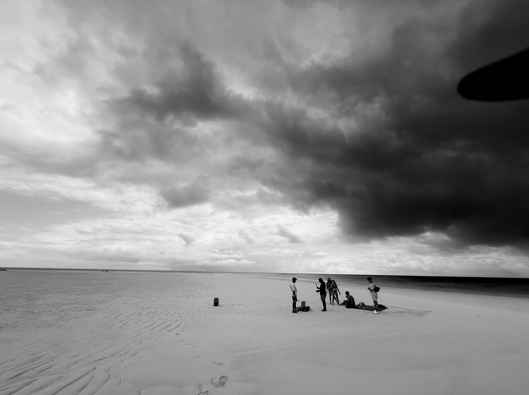 Pemba Tours-奔巴岛必去景点