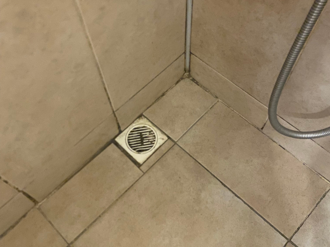 Camlik 87 Hotel Ayvalik