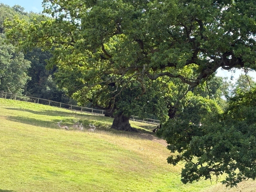 Chatsworth Farmyard & Playground-贝克韦尔必去景点
