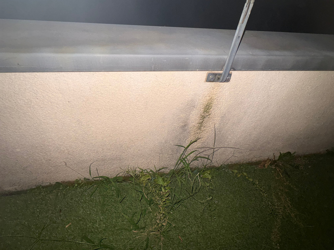 La Bastide Du Cantal主图