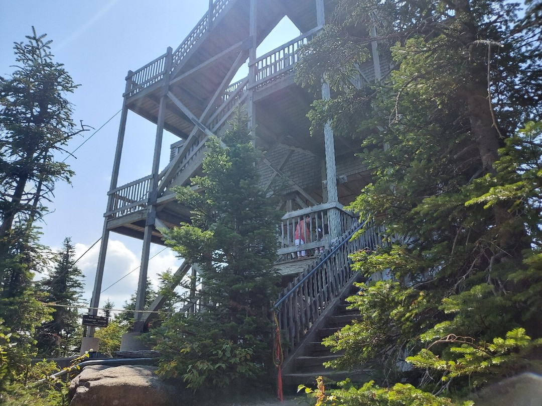 Cannon Mountain Aerial Tramway-弗朗科尼亚必去景点