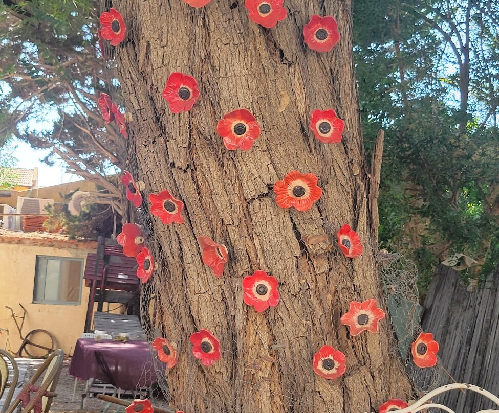 Zihron Ya'akov-Ein Ya'akov必去景点