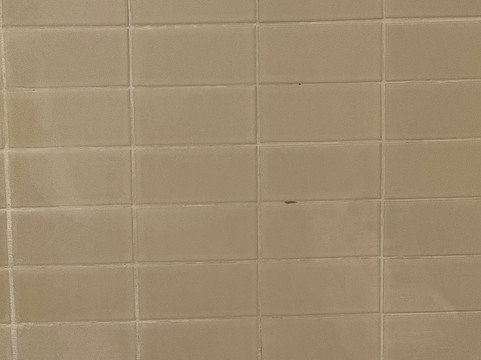 Hotel Casino New Brunswick主图