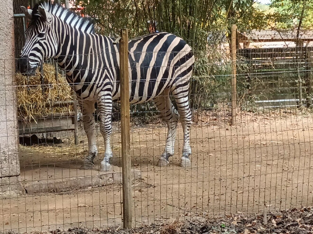 Z'animoland-Monbalen必去景点