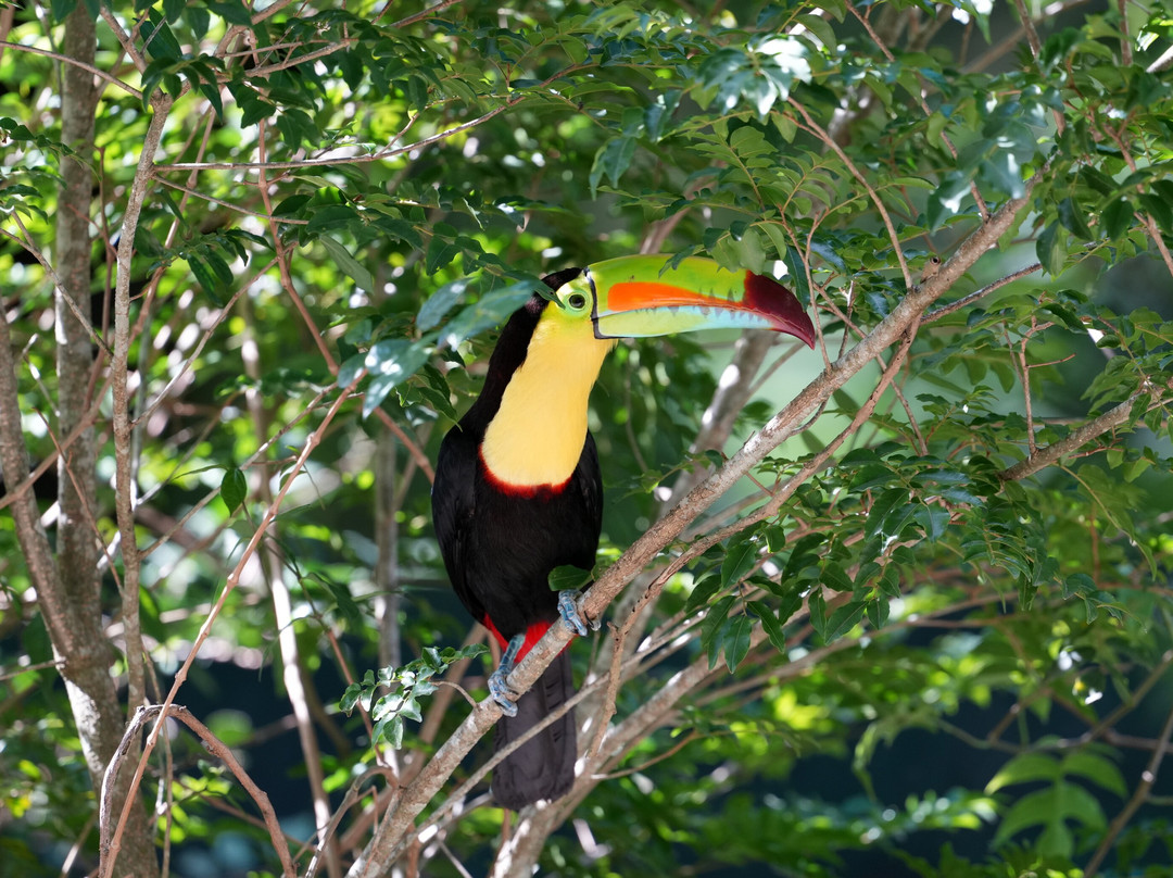 INTERNATURA FRCR-Santo Domingo de Heredia必去景点