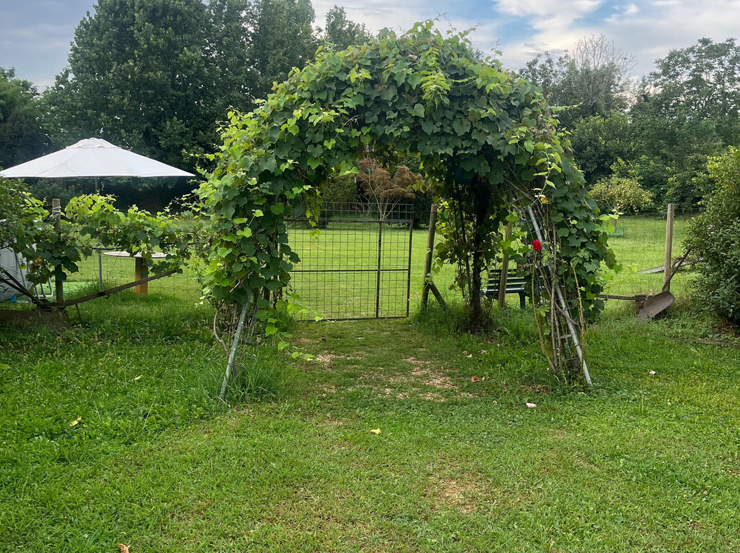 Agriturismo il Podere di Vedelago主图