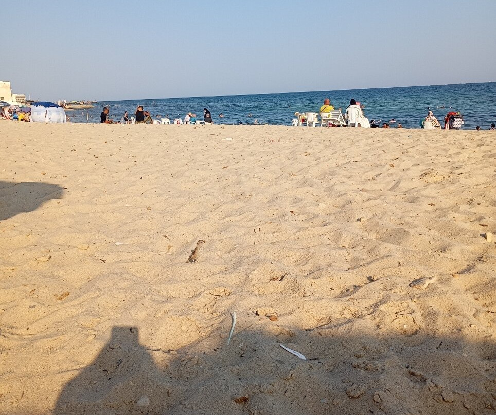 莱斯金字塔酒店主图