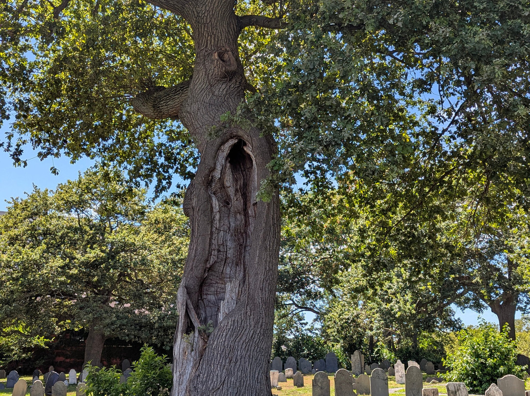 Old Burying Point Cemetery-塞勒姆必去景点