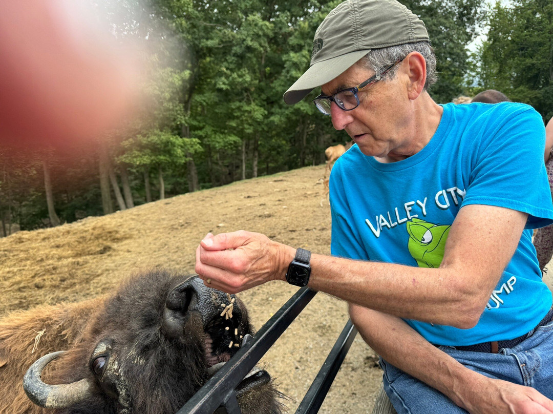 The Farm at Walnut Creek-Sugarcreek必去景点