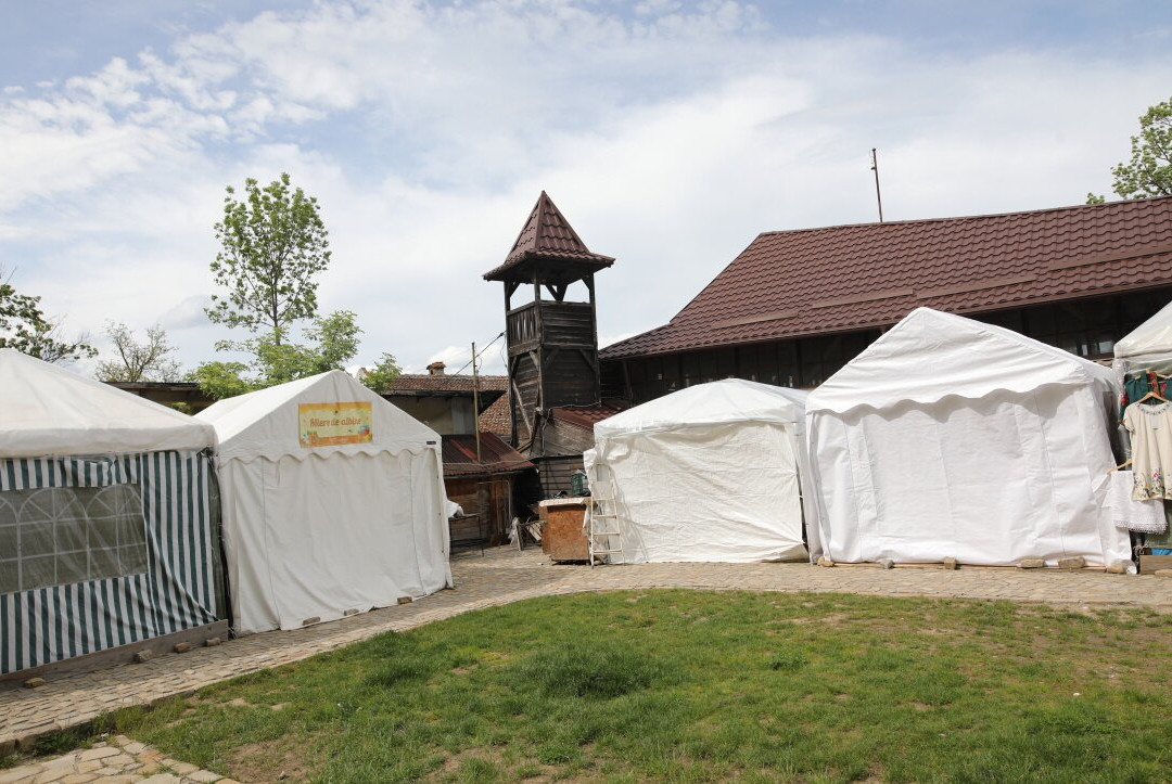 Bran Village Museum-布兰必去景点